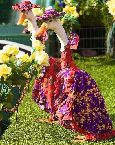 سەیرترین نمایشی جل و بەرگ ببینە